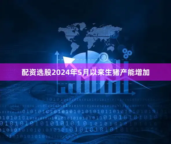 配资选股2024年5月以来生猪产能增加